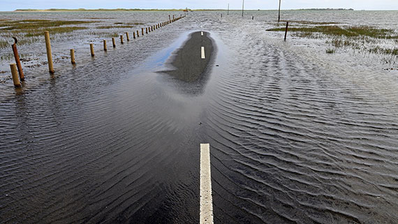 Cars driving through partially flooded roads